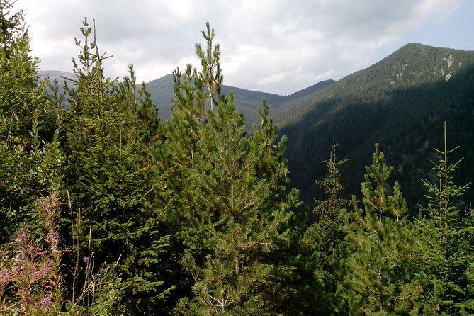 Private Vitosha Mountains Hiking With Black Peak & Dragalevtsi Monastery