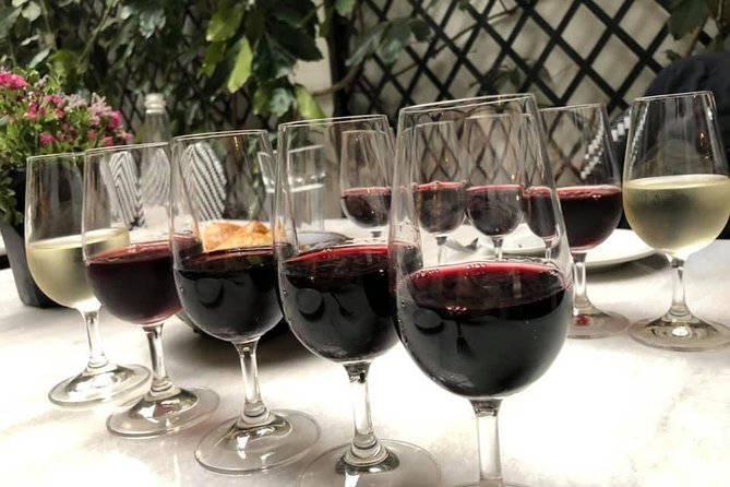 Private Walking Tour & Argentine Wine Tasting - Included Features