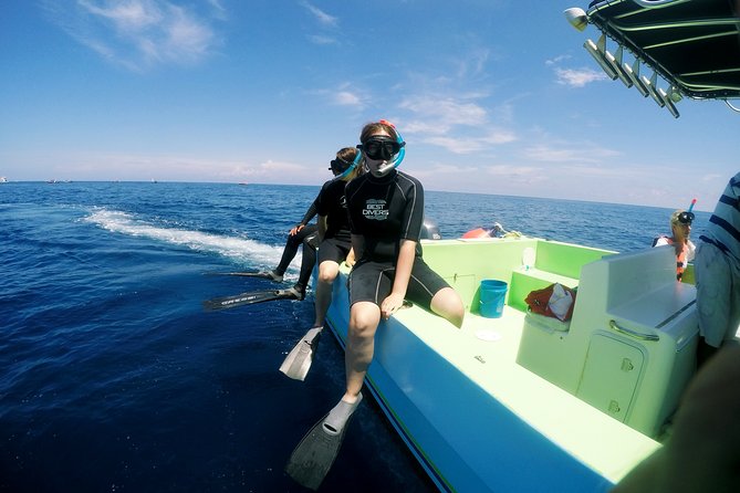 Private Whale Shark All Inclusive Experience