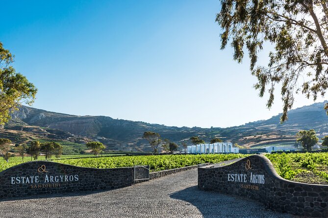Private Wine Adventure Tour in the Most Distinct Wineries