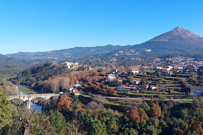 Private Wine Experience in Rota Do Vinho Verde With Lunch