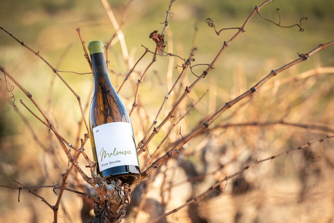 Private Wine Tasting and Walks in the Vineyards of Rivesaltes