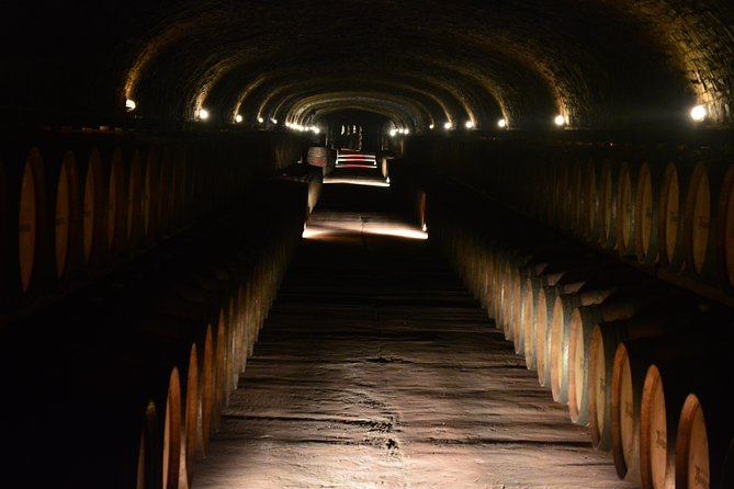 Private Wine Tour in Chianti Classico With Sommelier (2 Wineries)