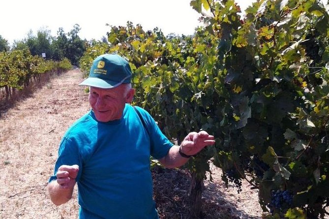 Private Wine Tour of Northern Israel