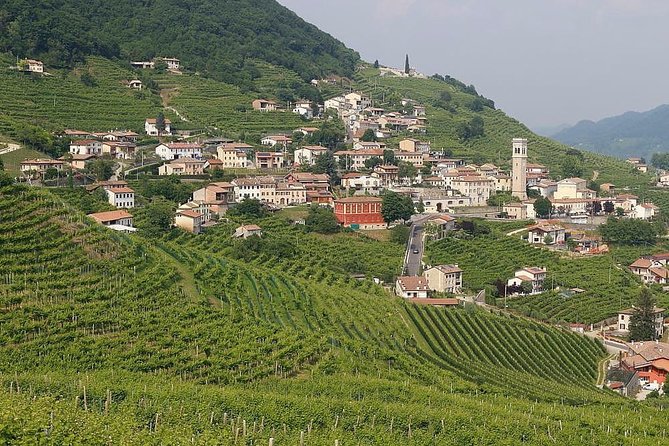 Prosecco Region Cellar Visit, Wine Tasting, Palladian Villa, Medieval Village