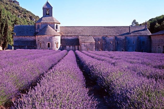 Provence Countryside Full-Day Private Tour From Nice