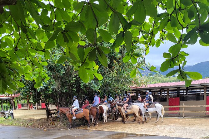 Puerto Rico Beach Horseback Riding Guided Tour