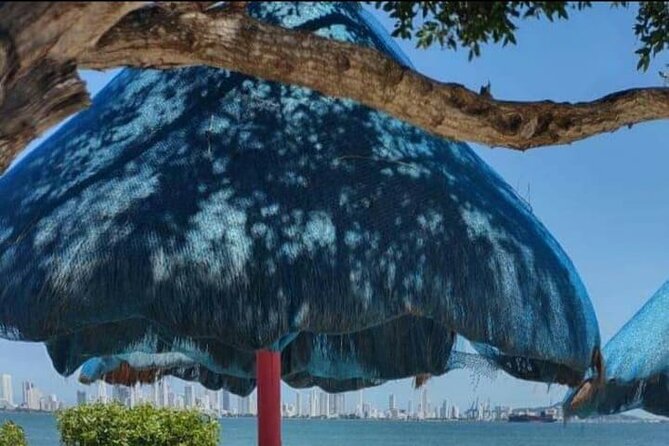 Punta Arena Island Day Tour