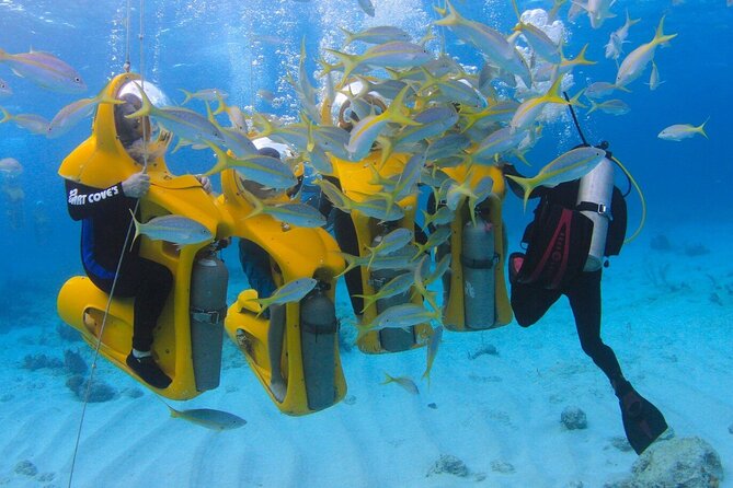Punta Cana Scuba Doo Adventure Experience - Canadian Managed - Overview of the Experience