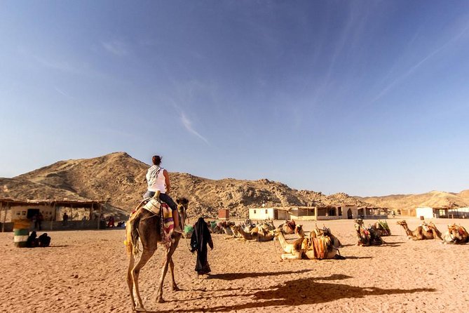Quad Biking in the Egyptian Desert From Hurghada