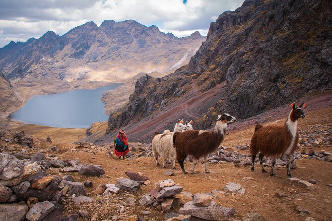 Rainbow Mountain Day Tour From Cusco
