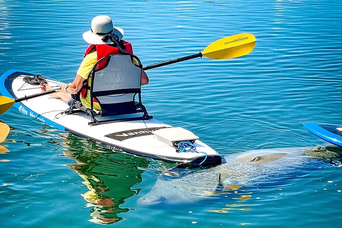 Rainbow Springs Electric Paddle Tour - Tour Overview