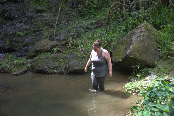 Rainforest Tour in San Juan, Puerto Rico