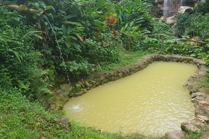 Rainforest Waterfall Adventure