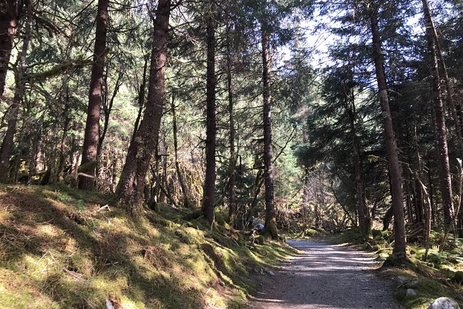 Rainforest & Waterfalls Trek - Experience Highlights
