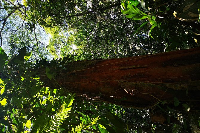Regular Natural History Walk