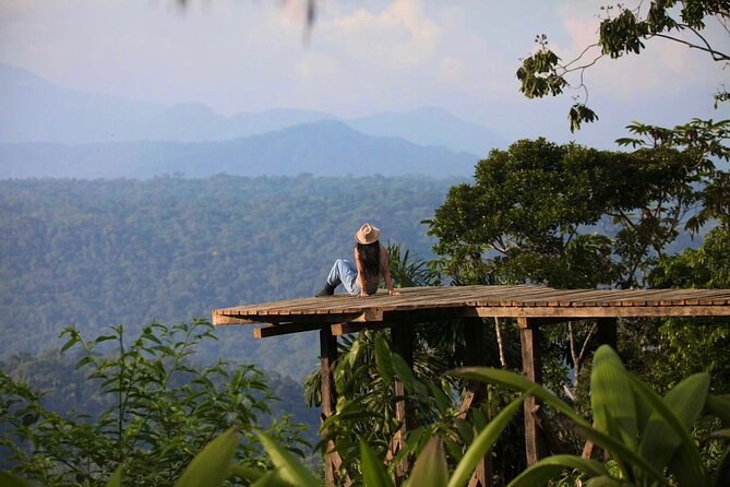 Relax in the Amazon for 3 Full Days All Inclusive From Quito