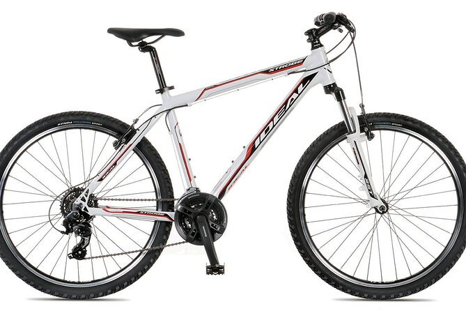 Rent a Bike in Ammoudara, Heraklion