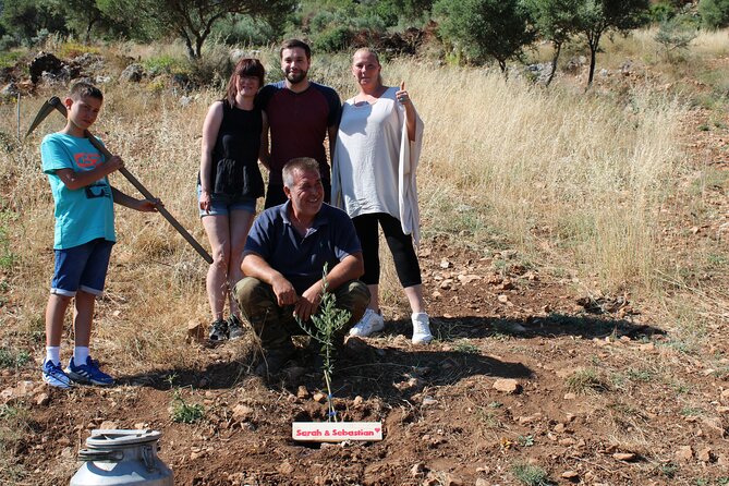 Rethymnon Olive Tree Sponsorship Protect and Plant Tour