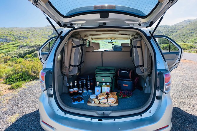 Revel in the Cape Peninsula (Penguins & Cape of Good Hope)