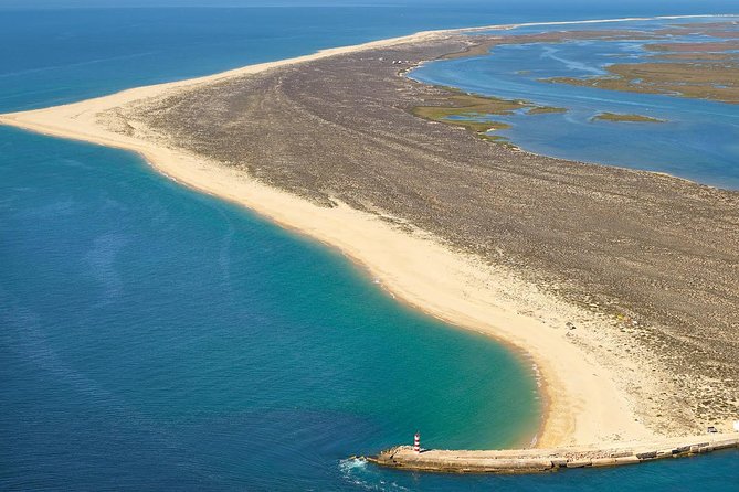 Ria Formosa Natural Reserve Park Day Trip From Albufeira - Guided Strolls Along Sand Bars