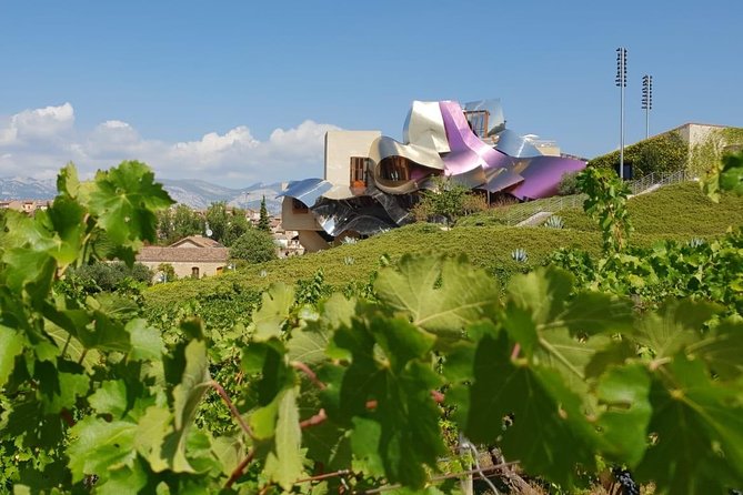 Rioja Wine Tour: Winery & Traditional Lunch From Pamplona