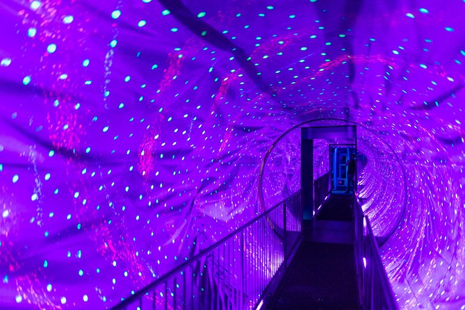 Ripleys Believe It or Not Amsterdam & 1-Hour Canal Cruise - Attractions Overview