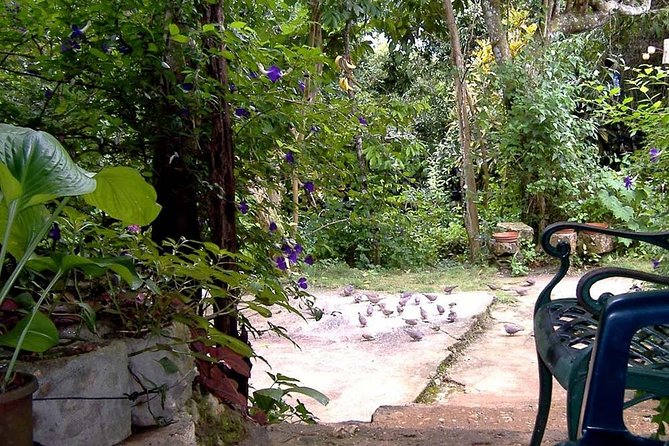 Rockland Bird Sanctuary Private Tour