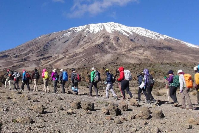 Rongai Route 6 Days 5 Nights/Kilimanjaro Climb