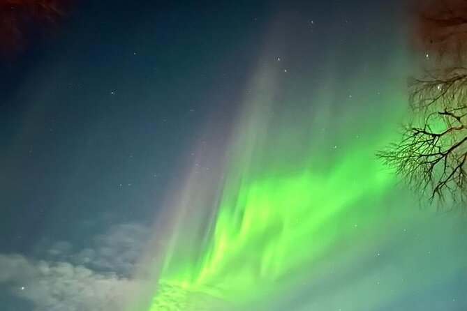 Rovaniemi Northern Lights Small-Group BBQ With Hotel Transfers
