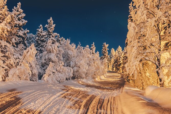 Rovaniemi: Reindeer Evening Safari Tour & 2.5 Km Sled Ride