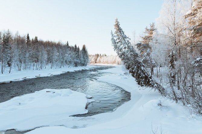 Rovaniemi: Winter Wonderland Vikaköngäs Hiking Tour & BBQ
