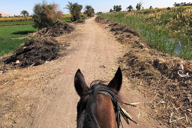 Rural Horse Riding Adventure - Overview and Experience