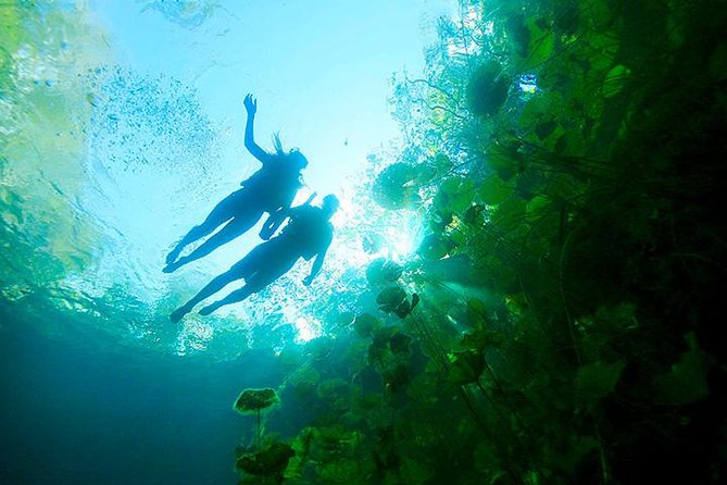 Sacred Adventure at Xenotes! 4 Different Cenotes + Round Transportation