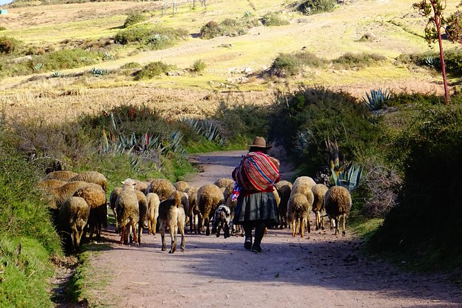 Sacred Valley of Incas 1 Day