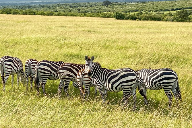 Safari And Beach Vacations
