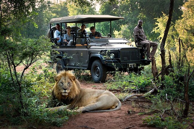 Safari Game Drive & Walk With the Lions Experiences - Overview of the Experiences