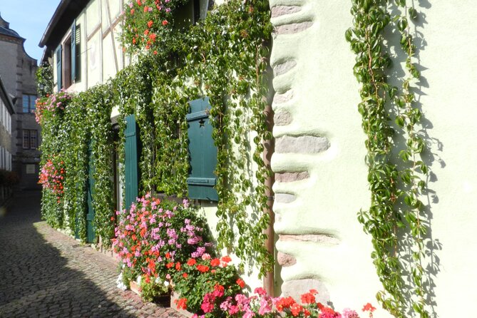 Safari Tour Village of the Vineyards: 1 Day, 4 Villages & 1 Wine Tasting