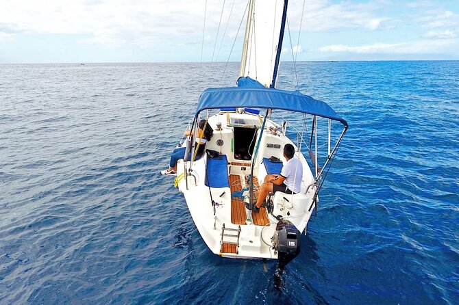 Sailing Experience From Costa Adeje