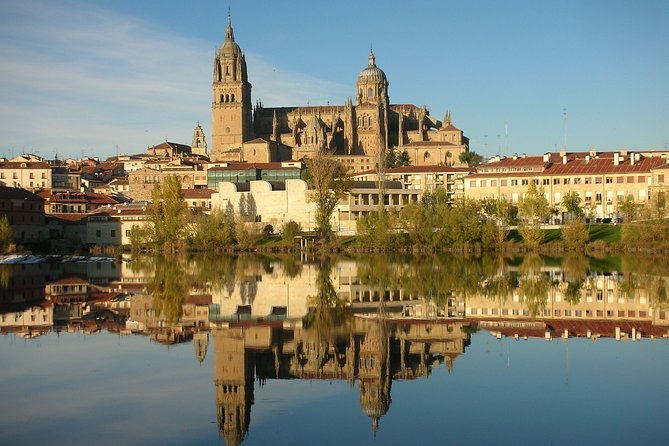 Salamanca and Avila Private Tour From Madrid With Hotel Pickup - Inclusions