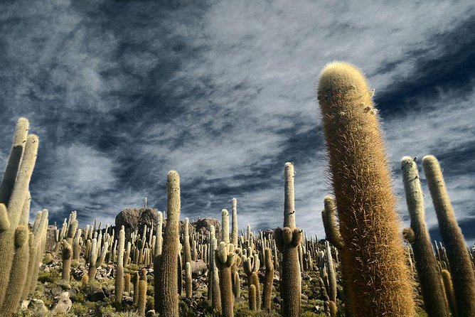 Salar De Uyuni (Classic 3 Days Trip) Spanish Guide