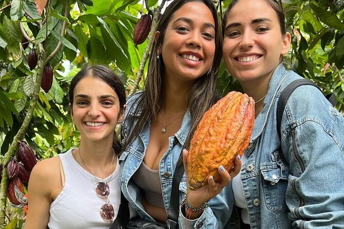 Salento, Cocora and Cacao (Chocolate) Tour From Pereira/Armenia