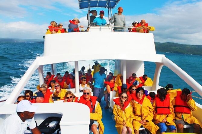 Samana Bay Whale Watching Full Day Tour With Lunch From Punta Cana - Itinerary and Schedule