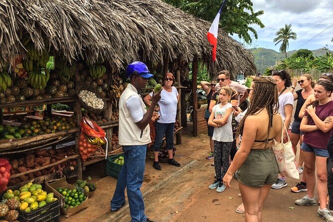 Samana Living Experience Al Natural
