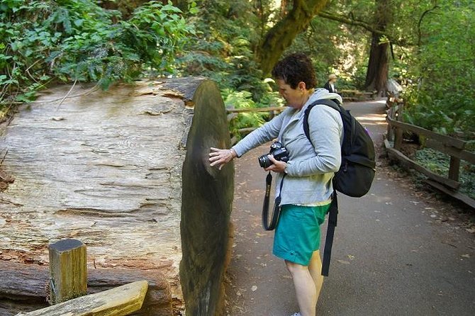 San Francisco: Guided Muir Woods Tour & Hop-on Hop-off Bus Tour