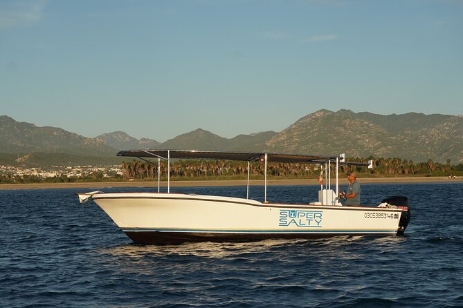 San Jose Del Cabo Small-Group Sunrise Whale Watching