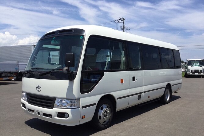 Sandals Southcoast Private Airport Transfer