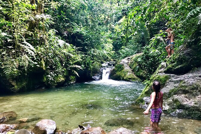 Santa Rita Waterfall and Salento Hike Tour