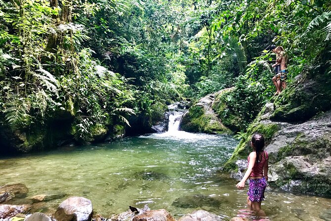Santa Rita Waterfall and Salento Hike Tour