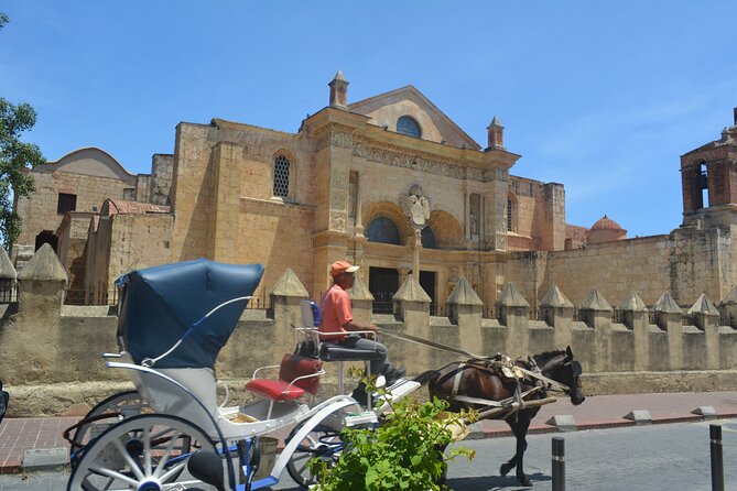 Santo Domingo 100%